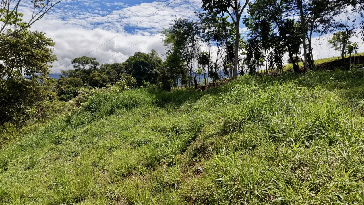 258 m² Lot for Sale in Tres Rios, Perez Zeledon – Stunning Views, Perfect for Airbnb or Cabin, photo 7