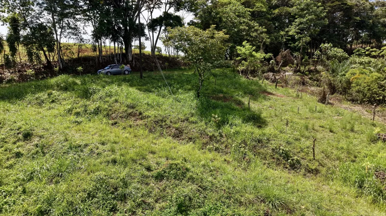 258 m² Lot for Sale in Tres Rios, Perez Zeledon – Stunning Views, Perfect for Airbnb or Cabin, photo 9
