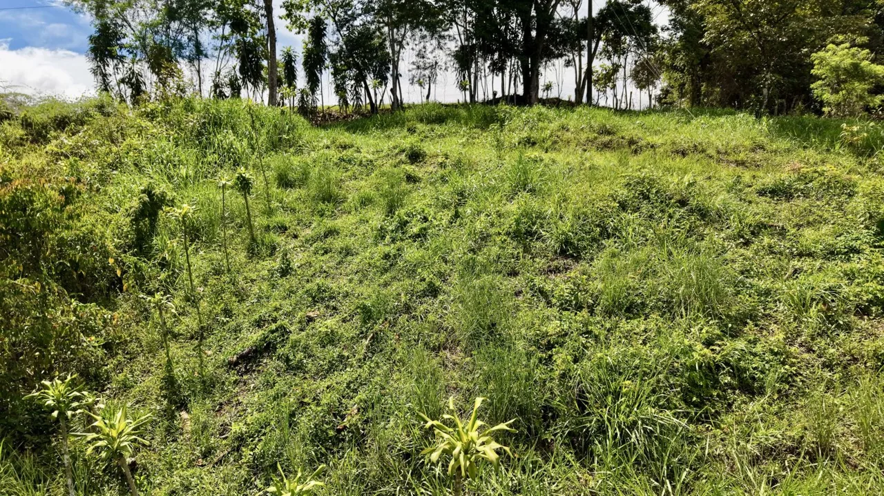 258 m² Lot for Sale in Tres Rios, Perez Zeledon – Stunning Views, Perfect for Airbnb or Cabin, photo 10