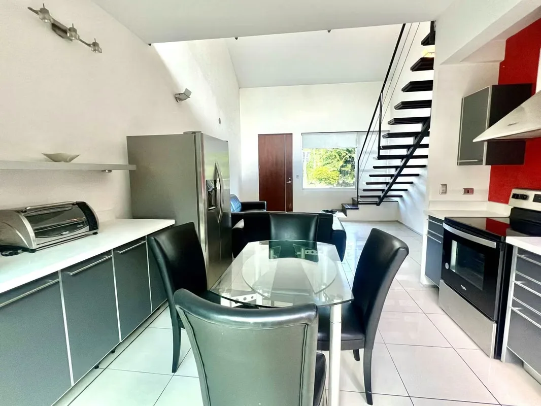 En un condominio de solo 20 aptos tipo Loft , les ofrezco esta belleza de 210m2 habitables, con su propio jardín l y terraza., photo 11