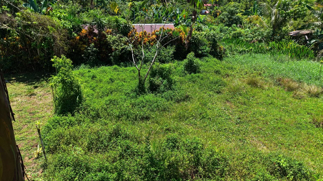 Beautiful Buildable Land for sale with high Aggregated Potential in Cajon., photo 7