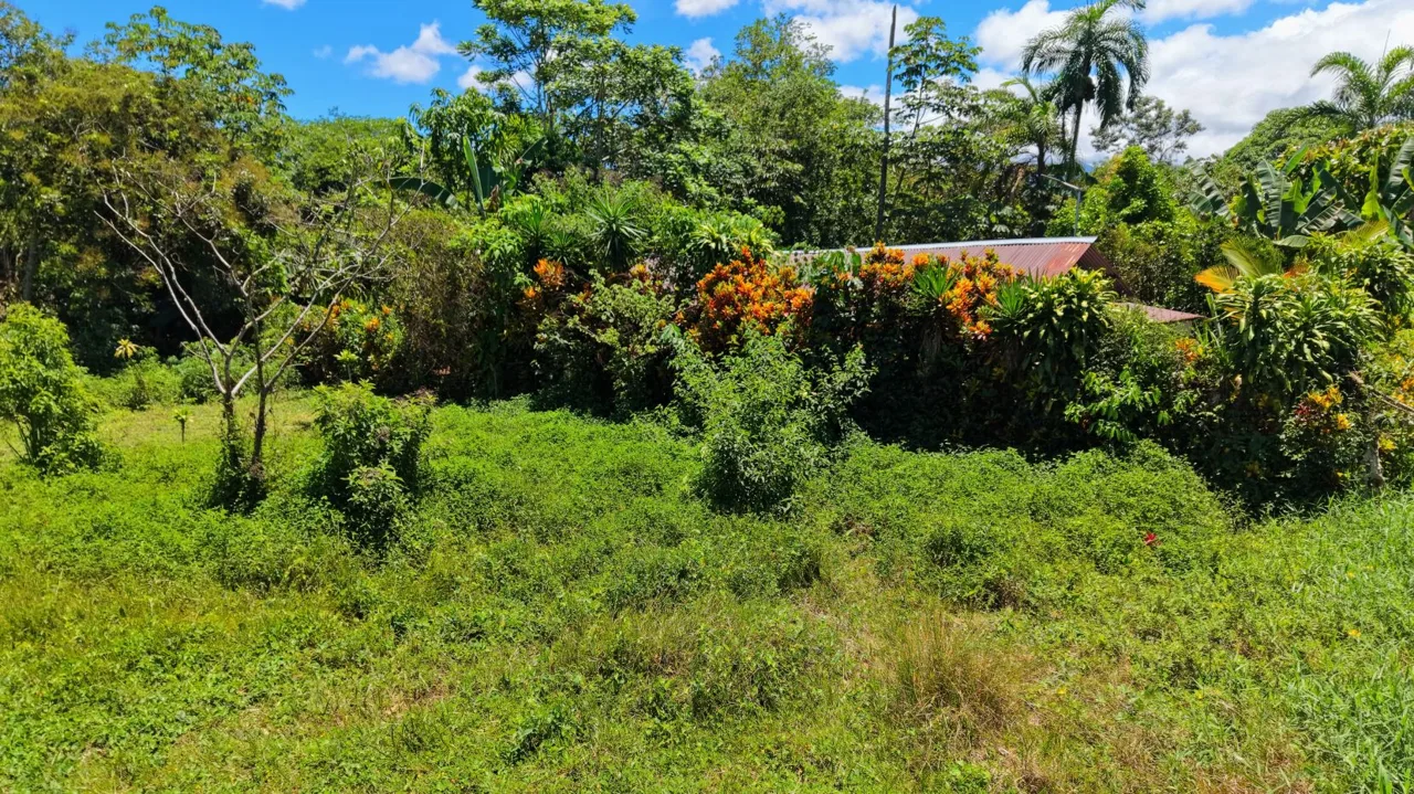 Beautiful Buildable Land for sale with high Aggregated Potential in Cajon., photo 8