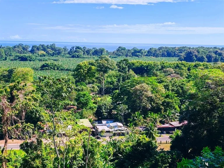 ID 642: Maramar Caribe - Ocean View Land Near Puerto Viejo & Cahuita, photo 6