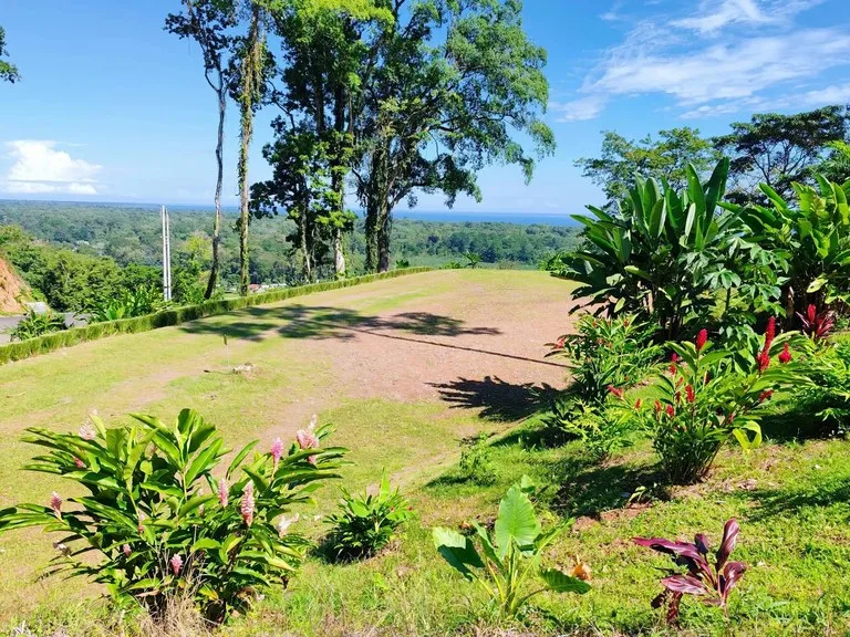 ID 642: Maramar Caribe - Ocean View Land Near Puerto Viejo & Cahuita, photo 7