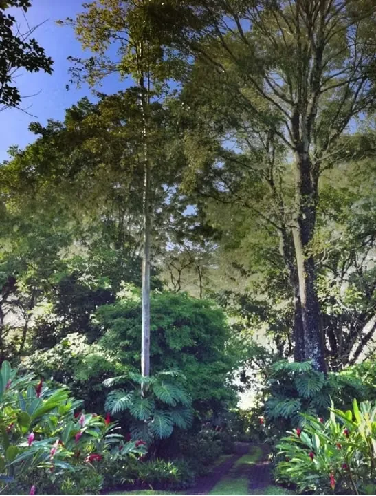 Venta de finca en Ciudad Colón con uso de suelo para construcción de Condominio-Urbanización.