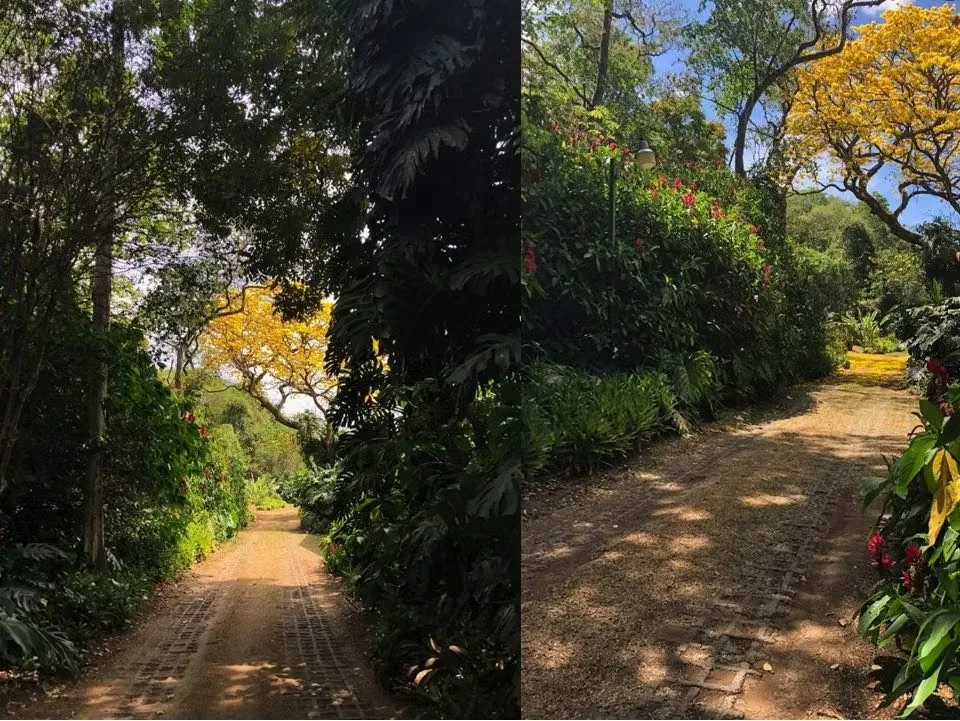 Venta de finca en Ciudad Colón con uso de suelo para construcción de Condominio-Urbanización., photo 7