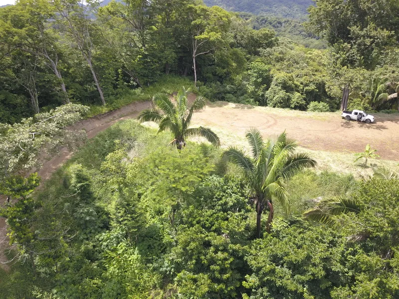 Land For Sale in Samara, photo 3