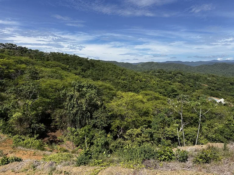 Agricultural Land in Playa Negra