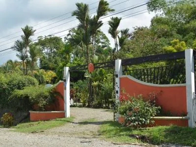 PLATANILLO CASA DE 3 DORMITORIOS CON PISCINA EN 2 ACRES