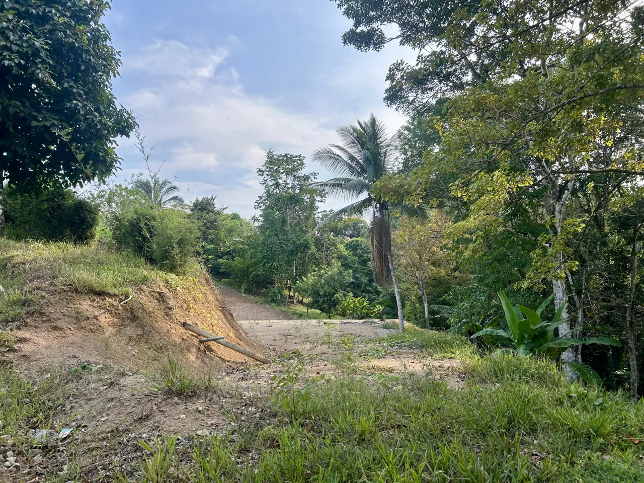 LUXURIOUS PRE-CONSTRUCTION 3-BEDROOM HOME IN DESIRED PLAYA HERMOSA – 0.57 ACRES, photo 16