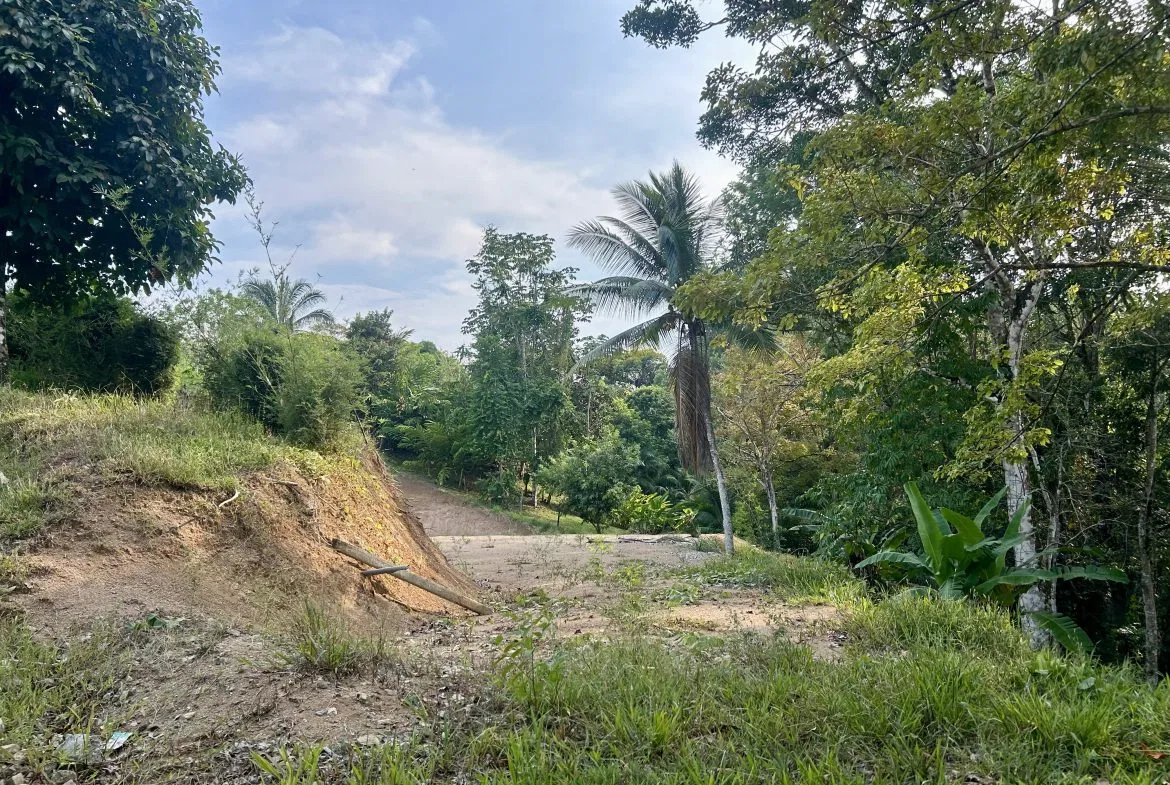 LUXURIOUS PRE-CONSTRUCTION 3-BEDROOM HOME IN DESIRED PLAYA HERMOSA – 0.57 ACRES, photo 17
