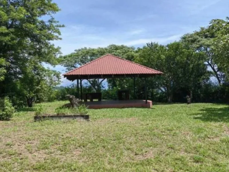 4 Bed Single Family Homes For Sale in Brasil De Mora, photo 7