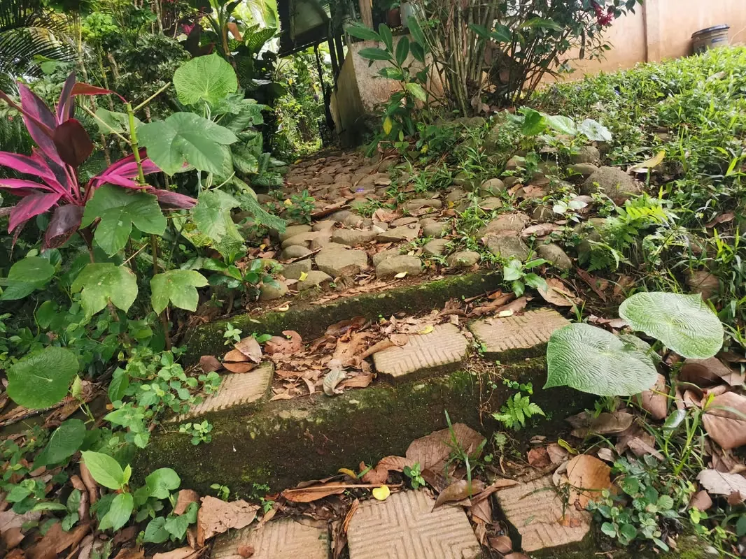 House for Sale in Florencia, San Carlos, near La Fortuna with a Creek in Front, photo 3