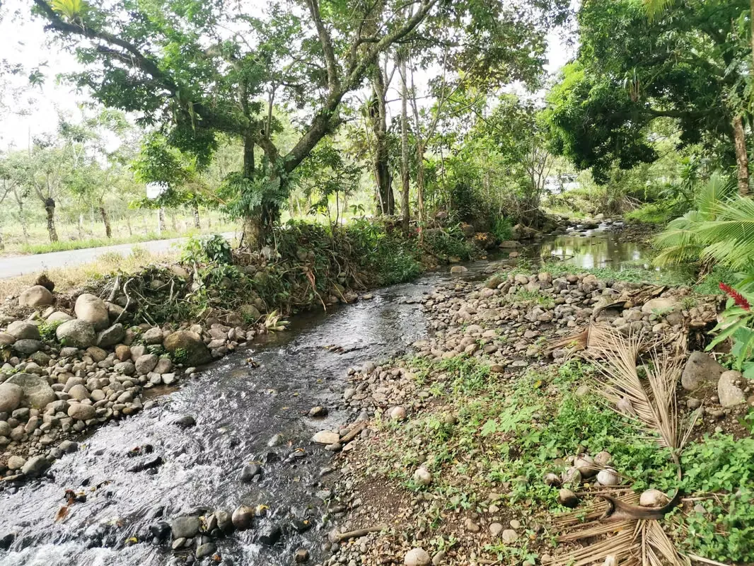 House for Sale in Florencia, San Carlos, near La Fortuna with a Creek in Front, photo 4