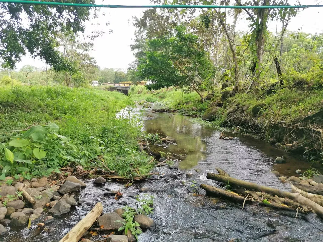 House for Sale in Florencia, San Carlos, near La Fortuna with a Creek in Front, photo 5