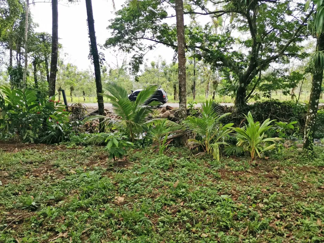 House for Sale in Florencia, San Carlos, near La Fortuna with a Creek in Front, photo 7