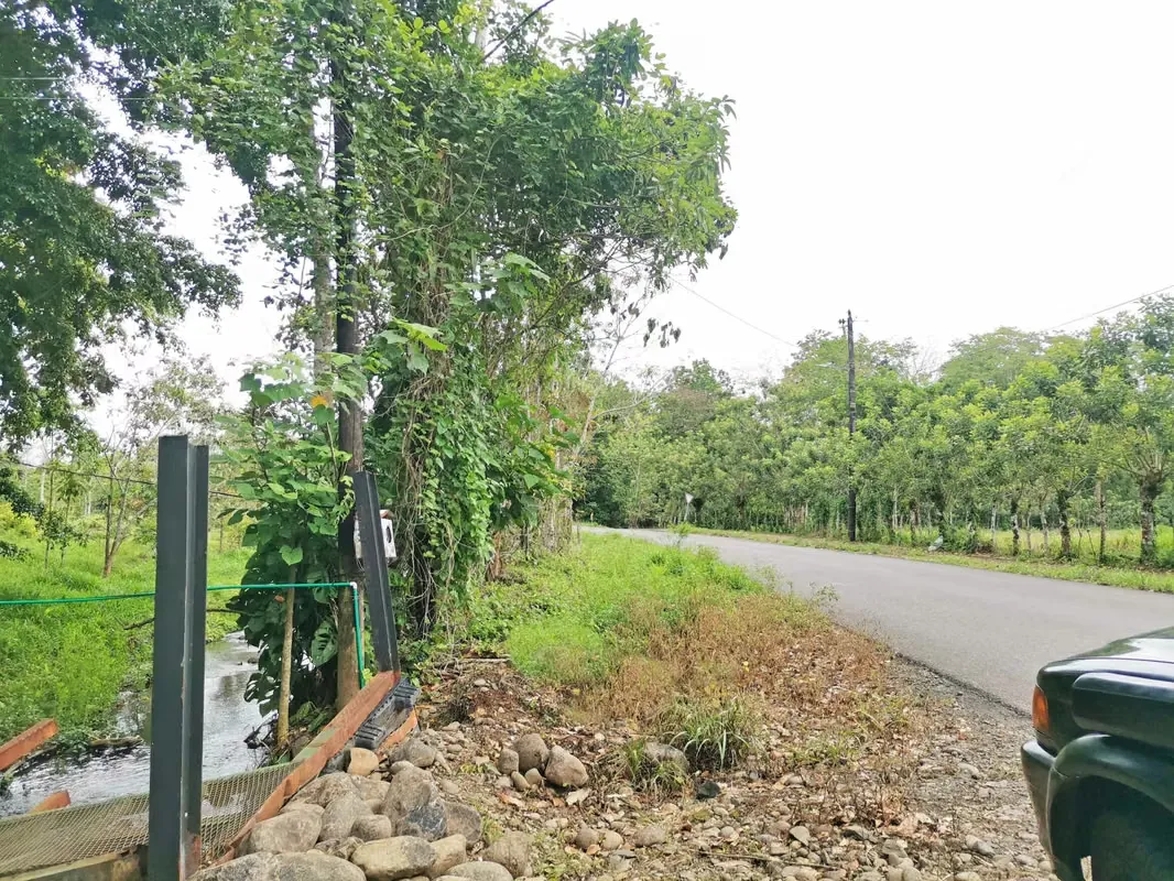 House for Sale in Florencia, San Carlos, near La Fortuna with a Creek in Front, photo 8