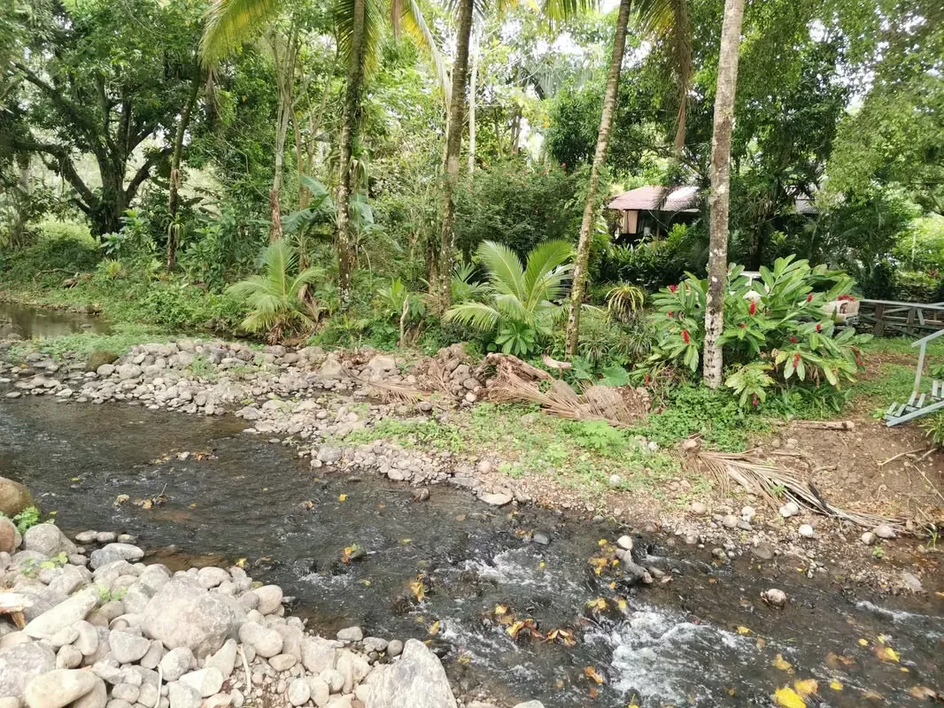 House for Sale in Florencia, San Carlos, near La Fortuna with a Creek in Front, photo 10