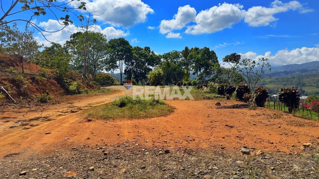 Ranch for Sale: Ready to Own Your Slice of Costa Rica?, photo 11