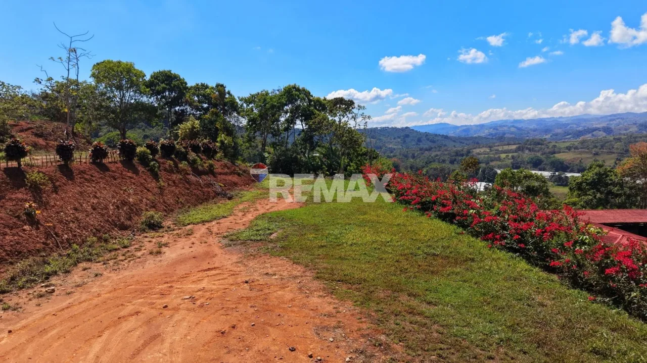 Ranch for Sale: Ready to Own Your Slice of Costa Rica?, photo 12