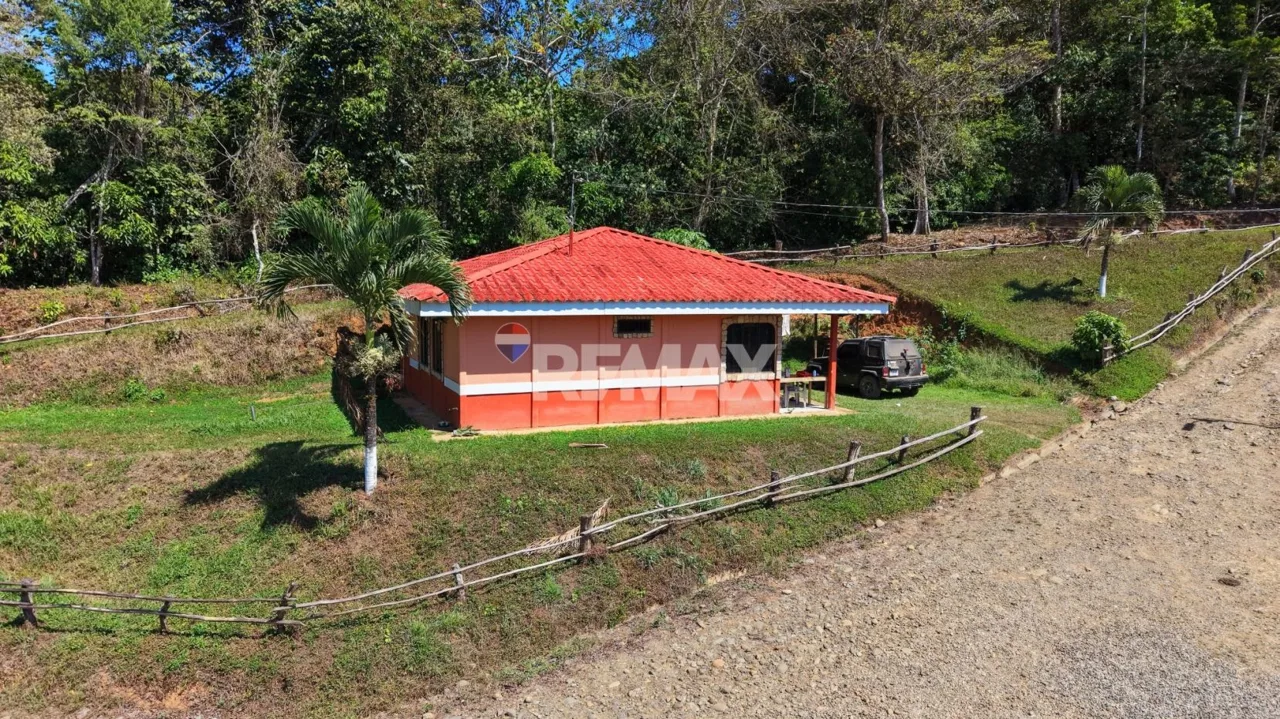 Ranch for Sale: Ready to Own Your Slice of Costa Rica?, photo 13