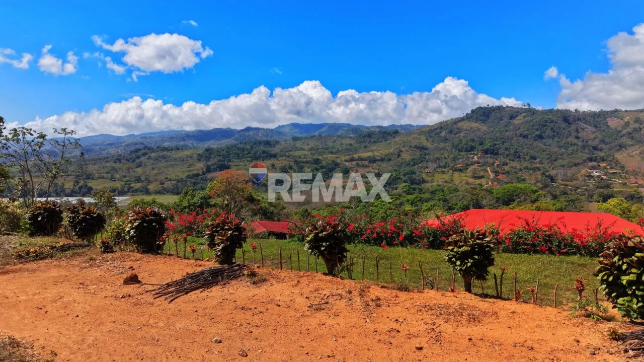Ranch for Sale: Ready to Own Your Slice of Costa Rica?, photo 8