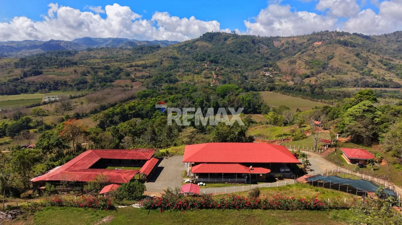 Ranch for Sale: Ready to Own Your Slice of Costa Rica?, photo 9