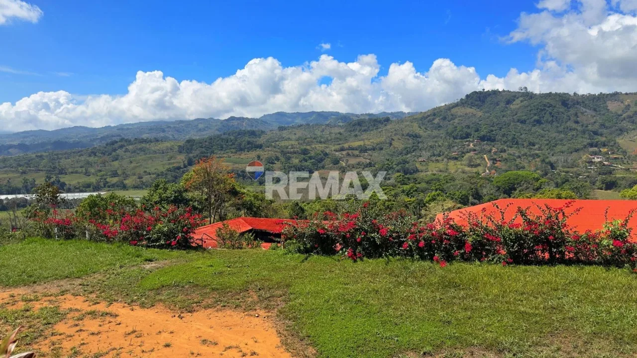 Ranch for Sale: Ready to Own Your Slice of Costa Rica?, photo 10
