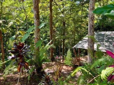 Oportunidad de negocio de ecolodge y casa de propietarios en 6 acres en Ojochal, photo 2