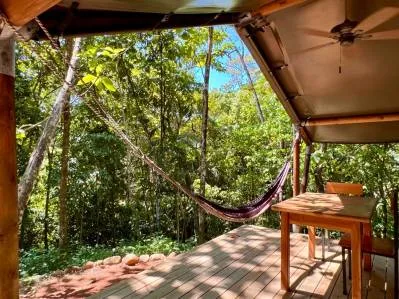 Oportunidad de negocio de ecolodge y casa de propietarios en 6 acres en Ojochal, photo 3