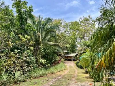 Oportunidad de negocio de ecolodge y casa de propietarios en 6 acres en Ojochal, photo 6