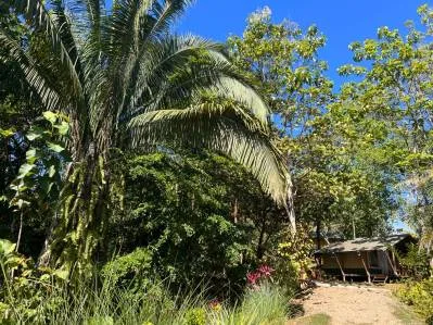 Oportunidad de negocio de ecolodge y casa de propietarios en 6 acres en Ojochal, photo 7