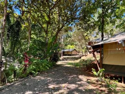 Oportunidad de negocio de ecolodge y casa de propietarios en 6 acres en Ojochal, photo 8