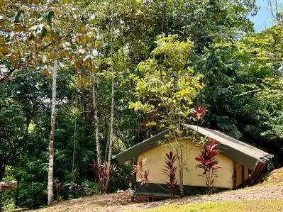 Oportunidad de negocio de ecolodge y casa de propietarios en 6 acres en Ojochal, photo 10