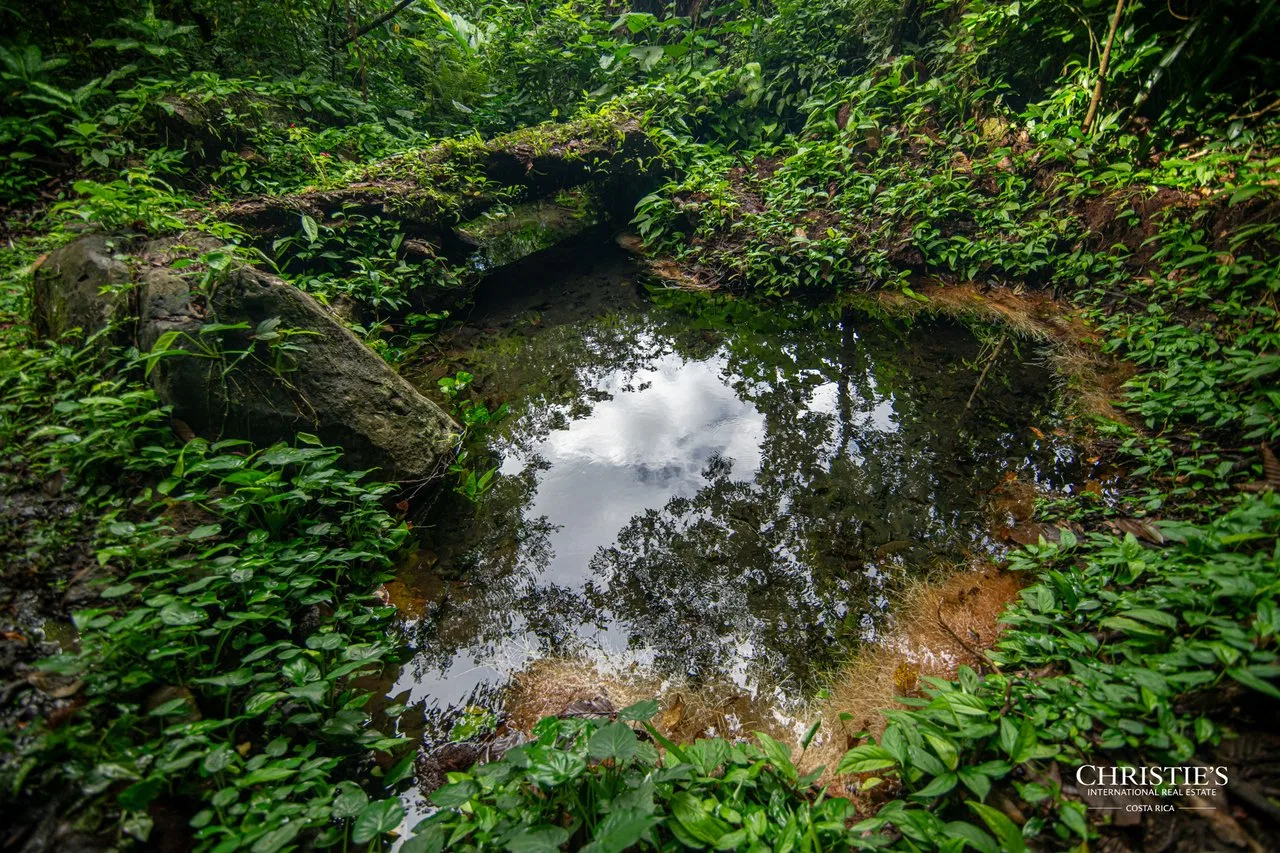 Origins Mineral: A Rare Landholding in Guanacaste’s Volcanic Highlands, photo 19