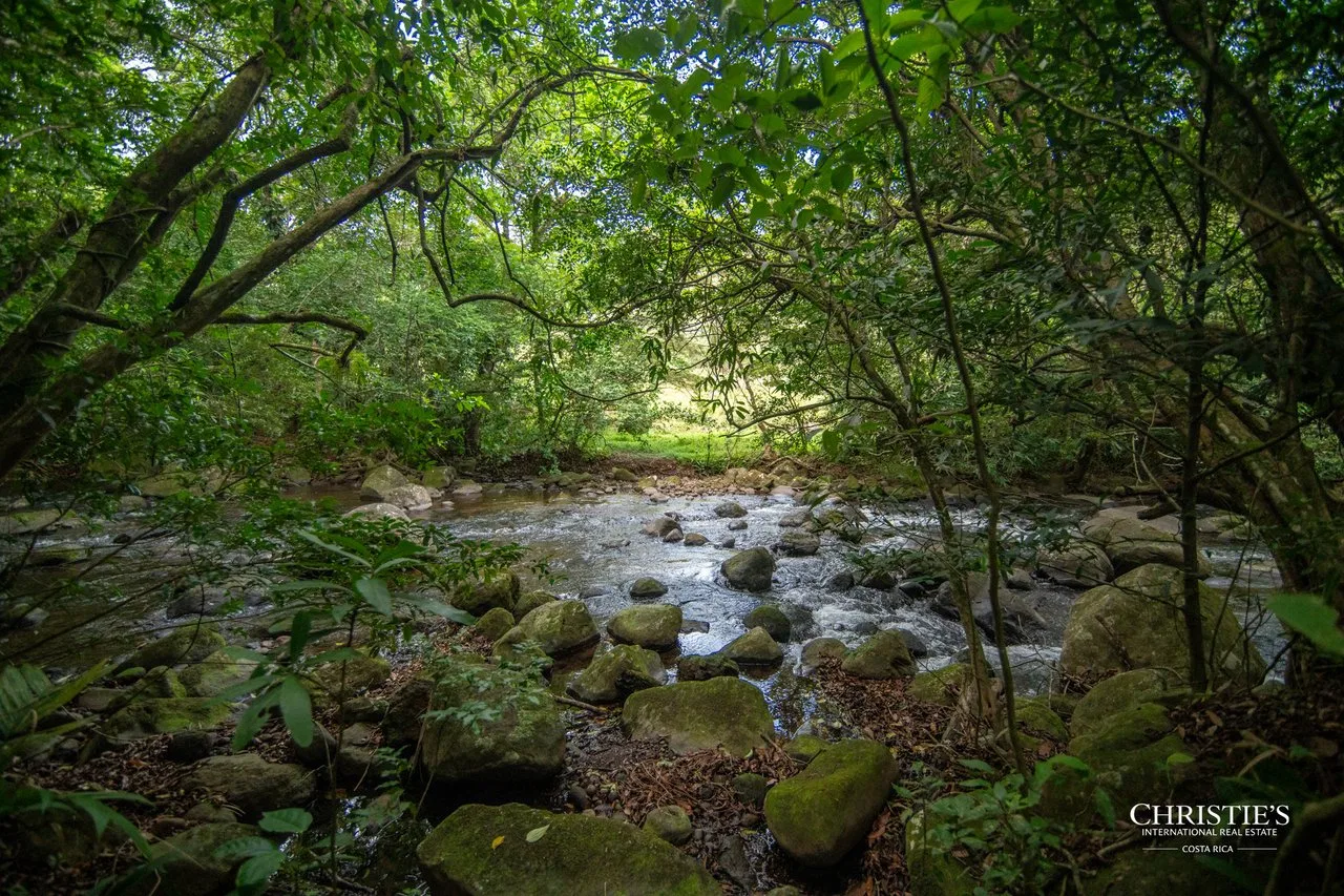 Origins Mineral: A Rare Landholding in Guanacaste’s Volcanic Highlands, photo 3