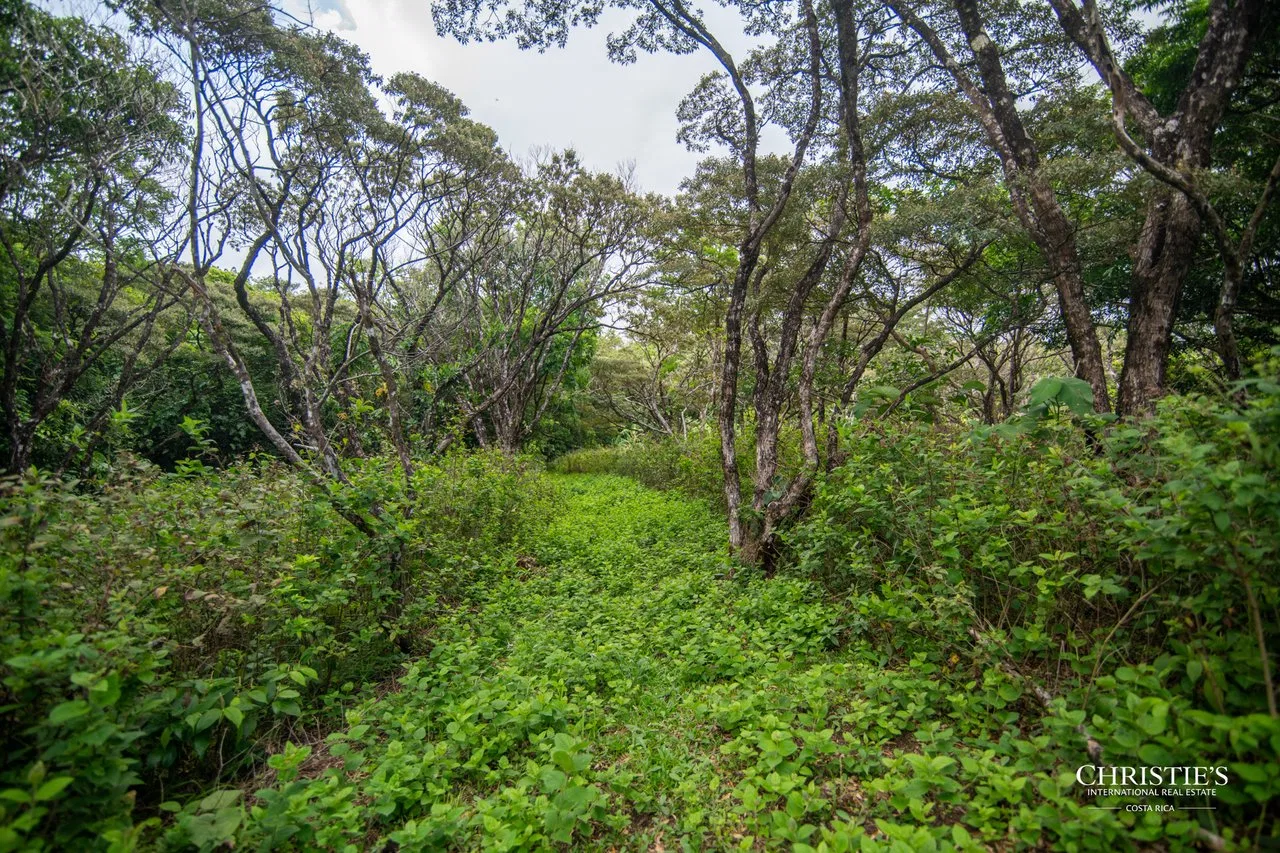 Origins Mineral: A Rare Landholding in Guanacaste’s Volcanic Highlands, photo 26