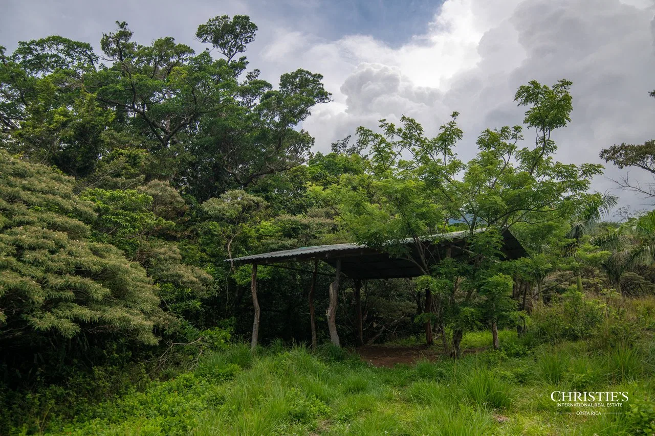 Origins Mineral: A Rare Landholding in Guanacaste’s Volcanic Highlands, photo 27