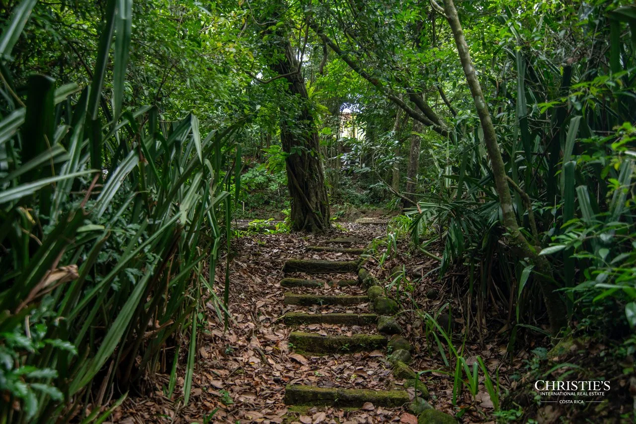 Origins Mineral: A Rare Landholding in Guanacaste’s Volcanic Highlands, photo 35