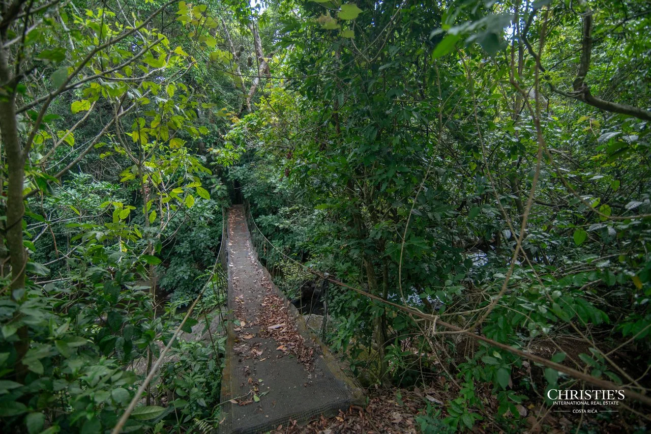 Origins Mineral: A Rare Landholding in Guanacaste’s Volcanic Highlands, photo 37
