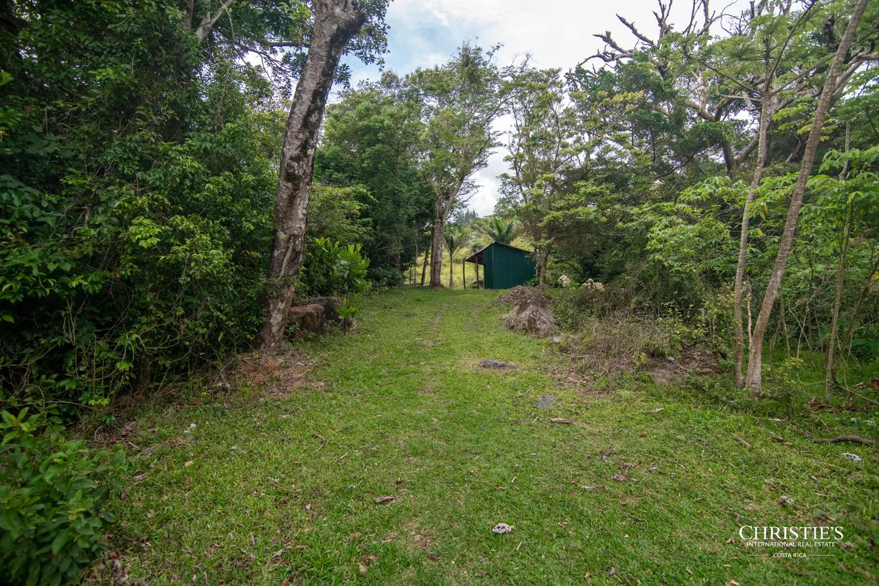 Origins Mineral: A Rare Landholding in Guanacaste’s Volcanic Highlands, photo 38