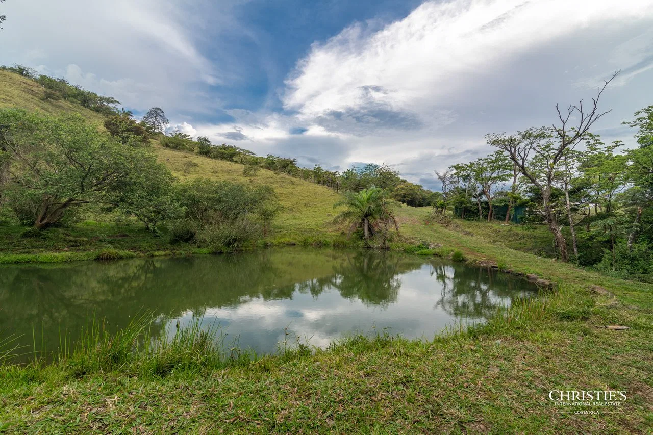 Origins Mineral: A Rare Landholding in Guanacaste’s Volcanic Highlands, photo 39