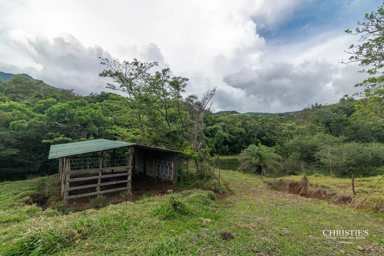 Origins Mineral: A Rare Landholding in Guanacaste’s Volcanic Highlands, photo 40