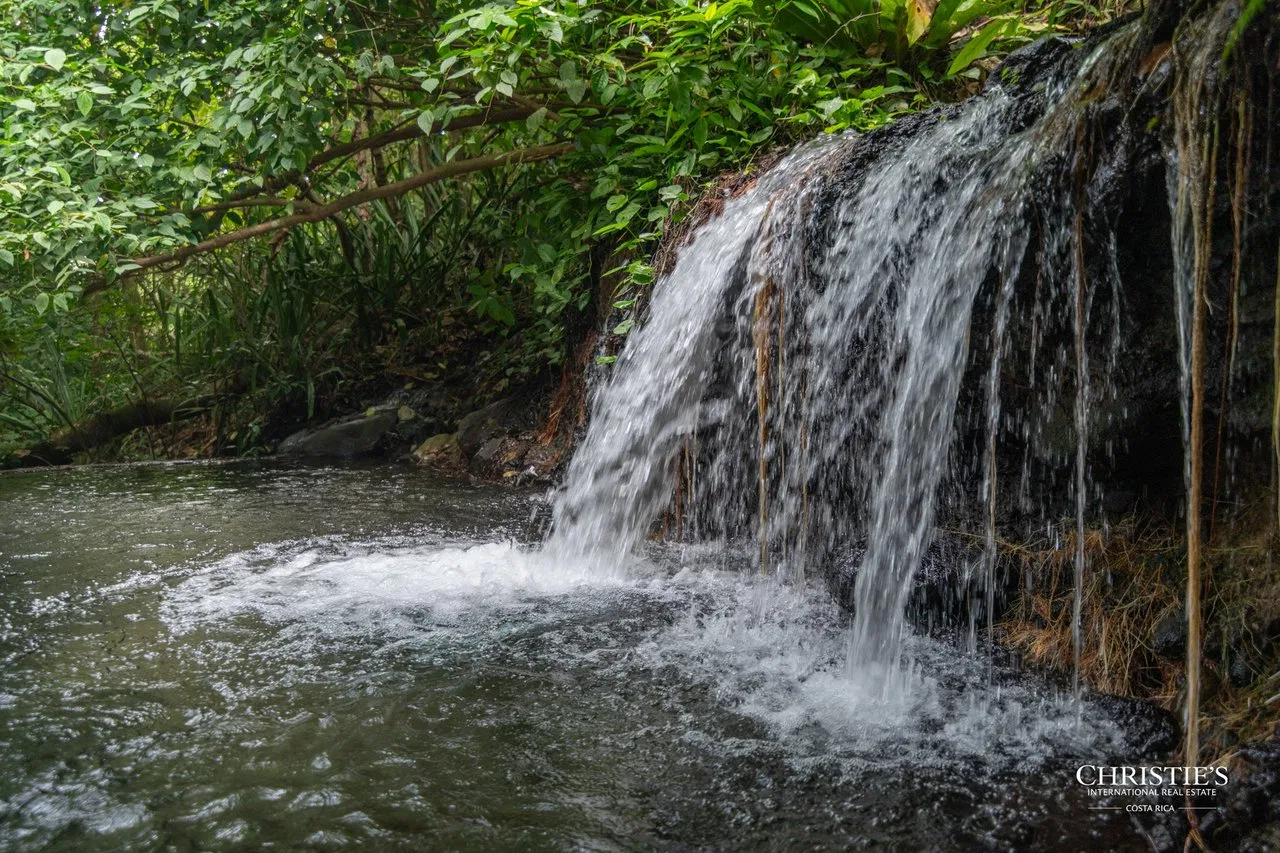 Origins Mineral: A Rare Landholding in Guanacaste’s Volcanic Highlands, photo 5