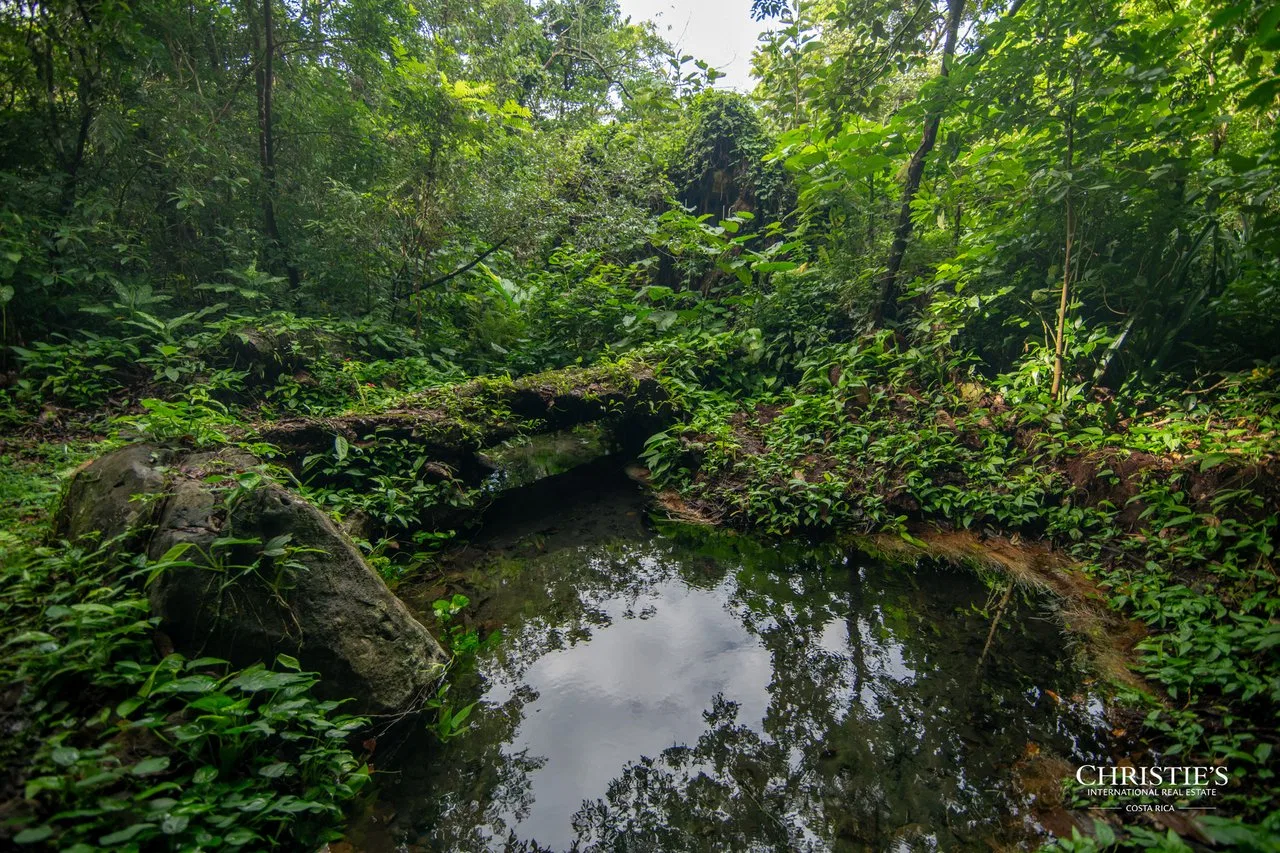 Origins Mineral: A Rare Landholding in Guanacaste’s Volcanic Highlands, photo 6