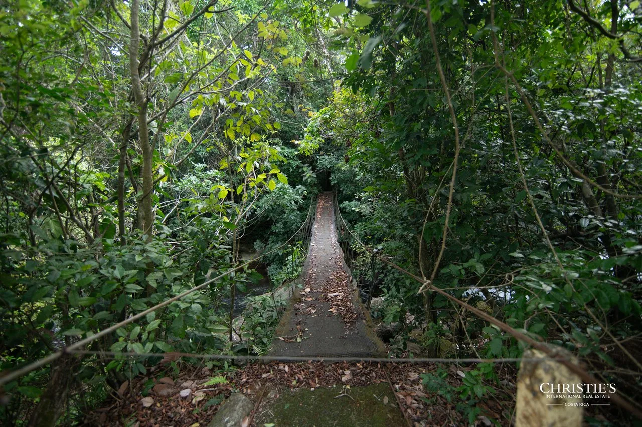 Origins Mineral: A Rare Landholding in Guanacaste’s Volcanic Highlands, photo 7
