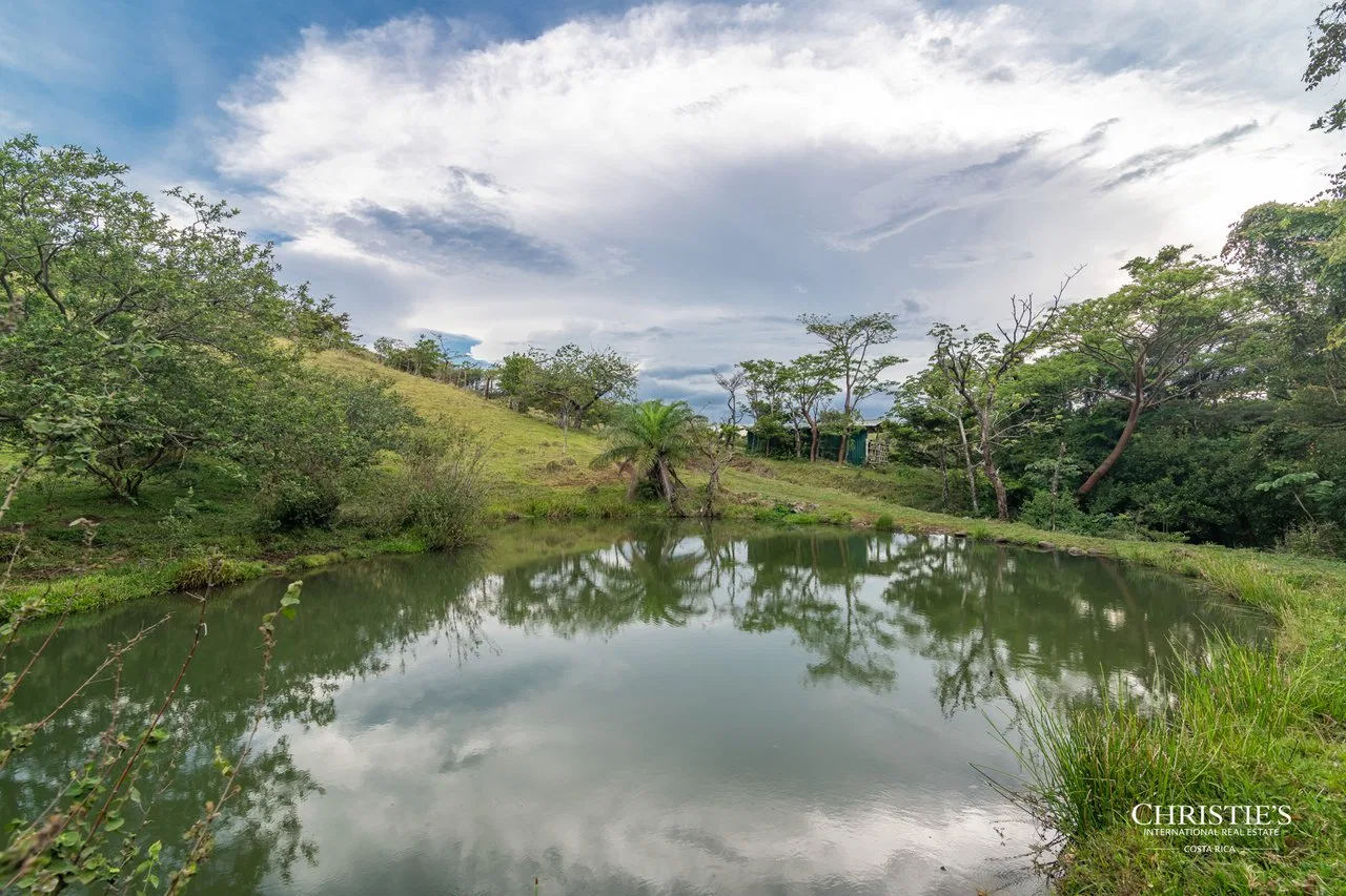 Origins Mineral: A Rare Landholding in Guanacaste’s Volcanic Highlands, photo 9