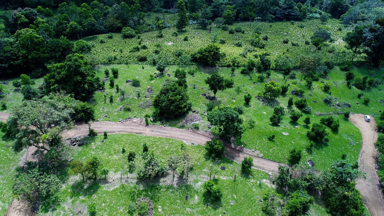 ABSOLUTELY FLAT JUNGLE LOT WITH MOUNTAIN VIEWS – DIAMANTE VALLEY – 2.48 ACRES, photo 13