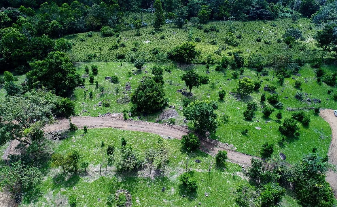 ABSOLUTELY FLAT JUNGLE LOT WITH MOUNTAIN VIEWS – DIAMANTE VALLEY – 2.48 ACRES, photo 14