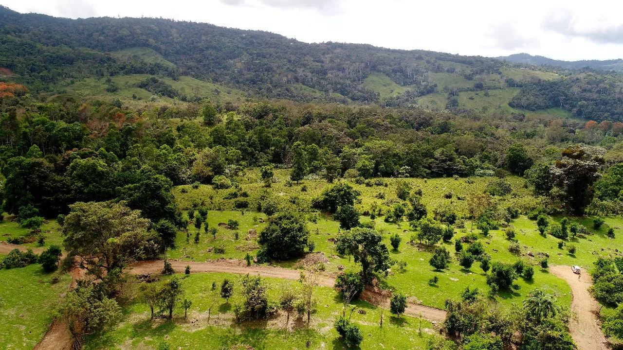 ABSOLUTELY FLAT JUNGLE LOT WITH MOUNTAIN VIEWS – DIAMANTE VALLEY – 2.48 ACRES, photo 3